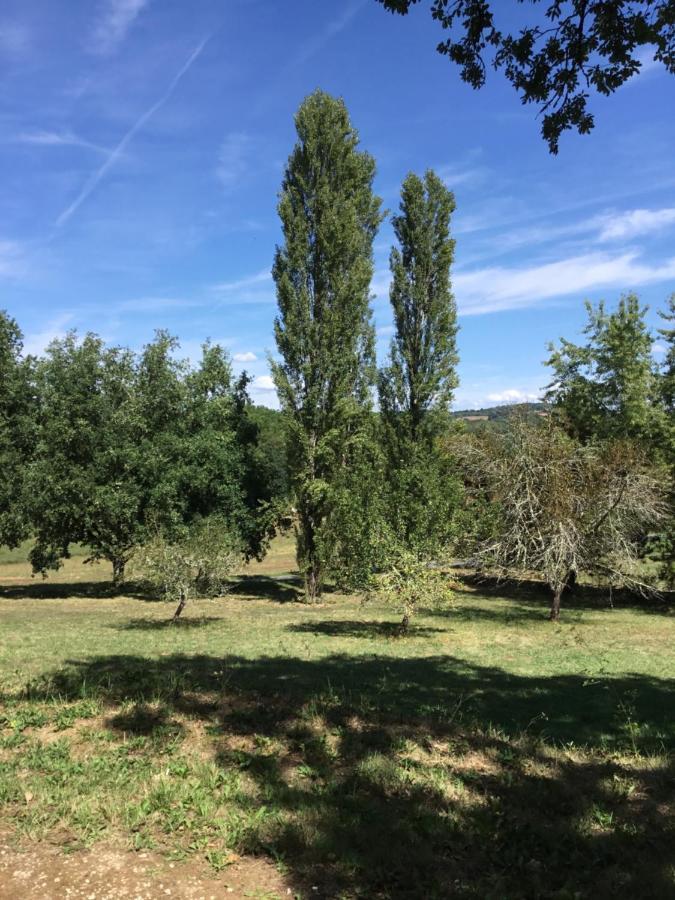 Logis Des 4 Fees Et Son Bain Nordique Villa Sainte-Nathalene Bagian luar foto